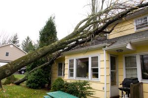 What Homeowners Need to Know About Storm Restoration